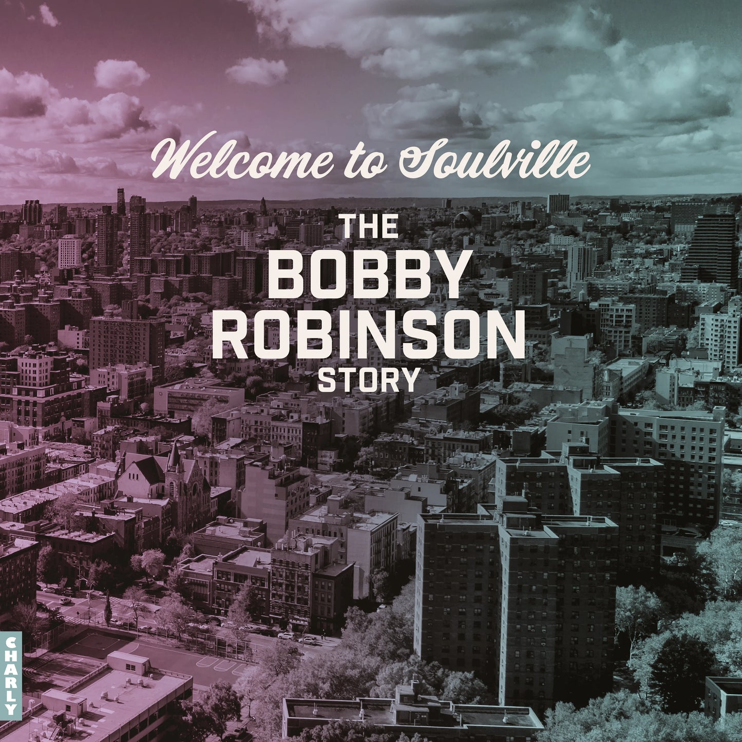VA - Welcome To Soulville The Bobby Robinson Story