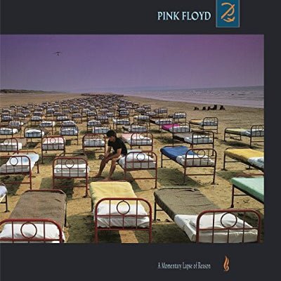 Pink Floyd - A Momentary Lapse of Reason LP
