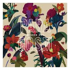 Washed Out - Paracosm