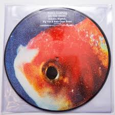 Vince Staples - Big Fish Theory (2LP Picture Disc)