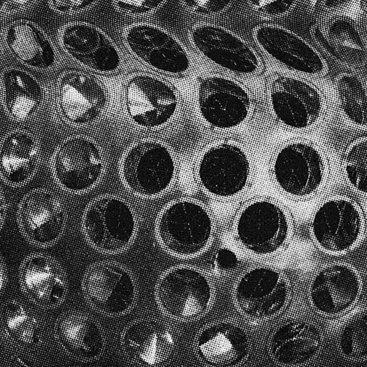 Actress X London Contemporary Orchestra  - Lageos