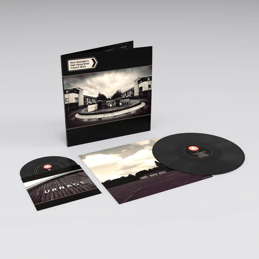 Noel Gallagher's High Flying Birds - Council Skies (2LP + Bonus 7")