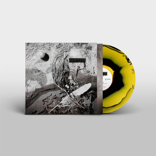 David Sylvian - Secrets Of The Beehive (LP)