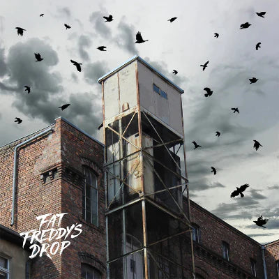 Fat Freddy's Drop - Blackbird Returns