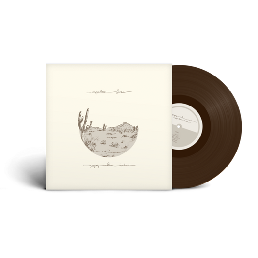Gregory Alan Isakov - Appaloosa Bones