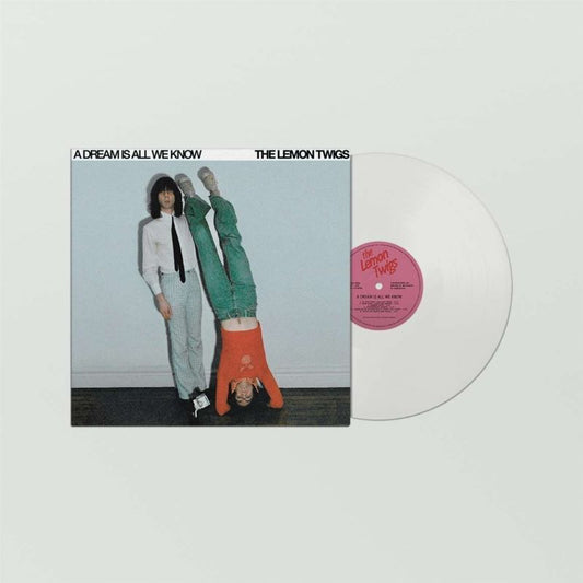 The Lemon Twigs - A Dream Is All We Know