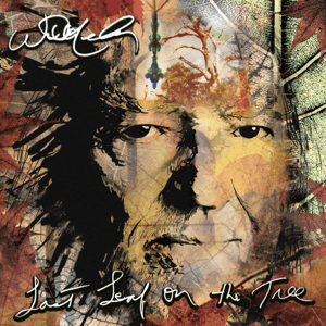 Willie Nelson - Last Leaf On The Tree