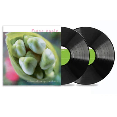 Fiona Apple - Extraordinary Machine