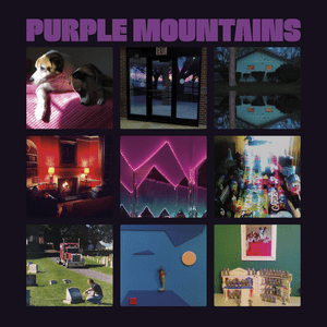 Purple Mountains - Purple Mountains