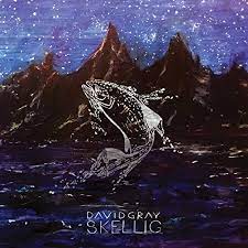 David Gray - Skellig